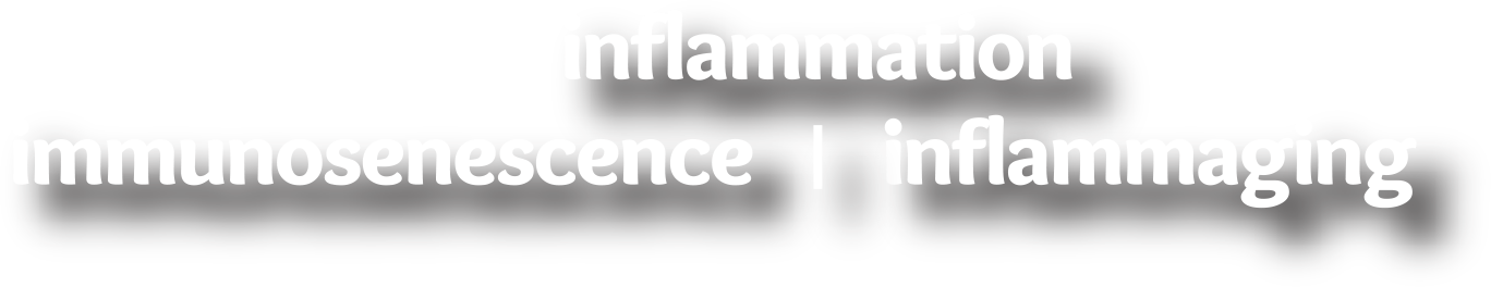 inflammation | immunosenescence | inflammaging